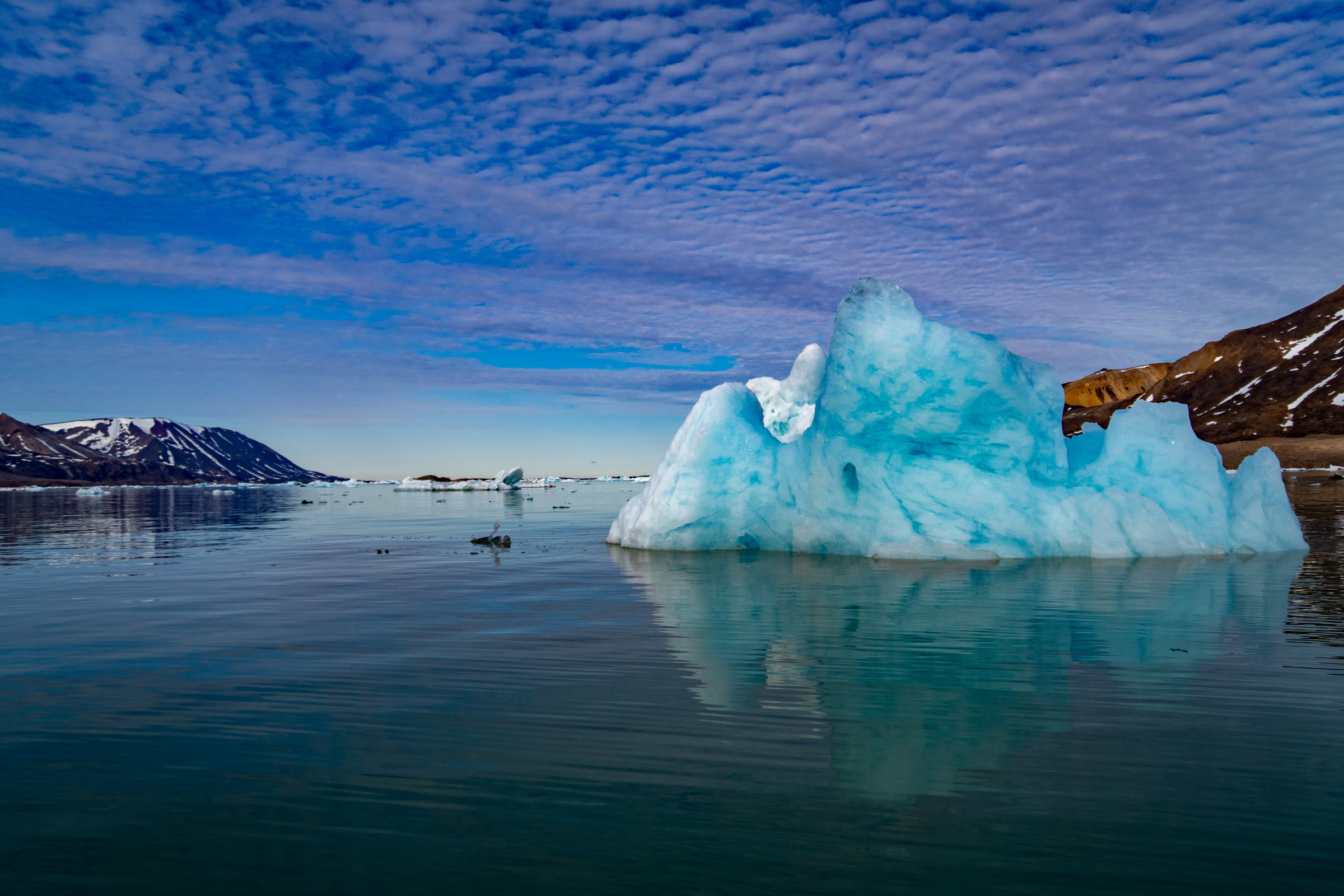 soraust-svalbard nature reserve (4).webp